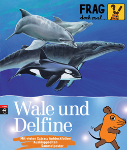 Wale und Delfine